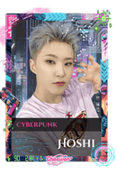 Hoshi
