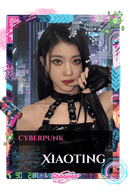 Xiaoting