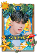 Gunwook
