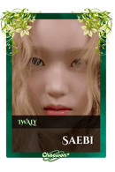 Saebi