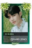 Zhang Hao