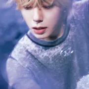 Hwanwoong