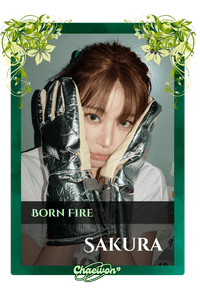 Sakura