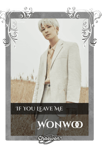 Wonwoo