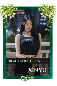 Xinyu