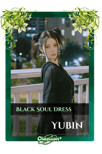 Yubin