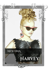 Harvey
