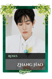 Zhang Hao