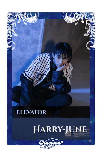 Harry-June
