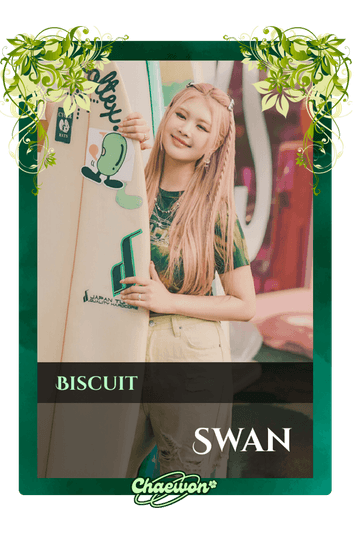 Swan