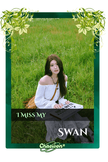 Swan