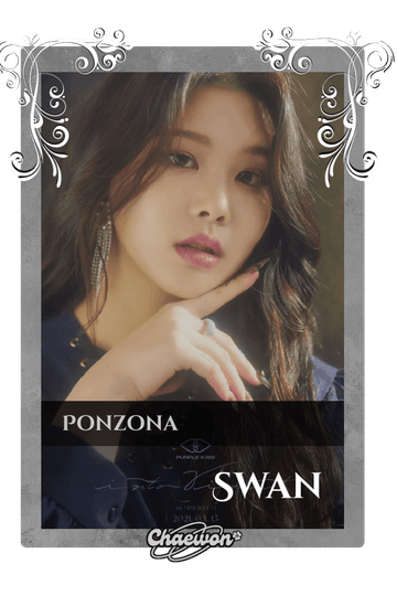 Swan