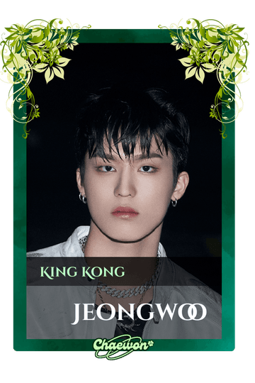 Jeongwoo