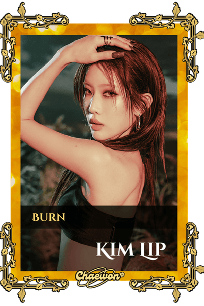 Kim Lip
