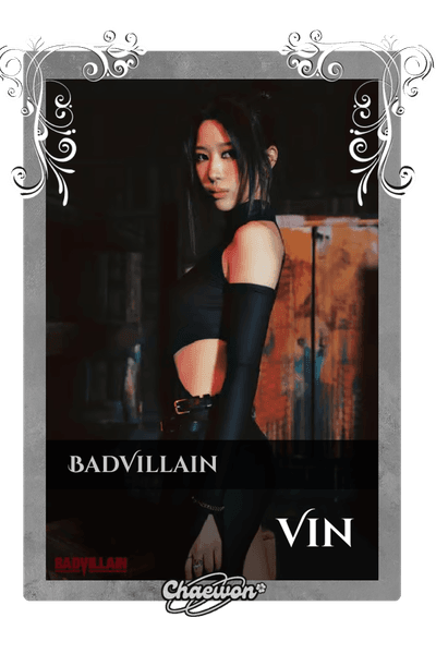 Vin