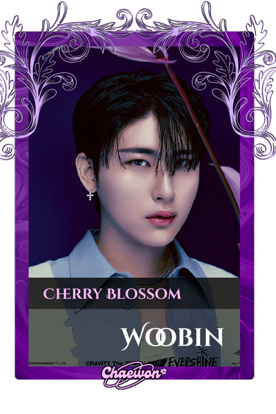 Woobin
