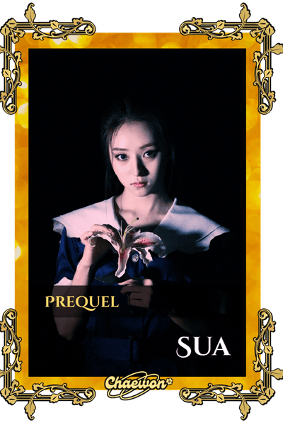 Sua
