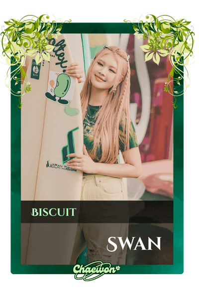 Swan