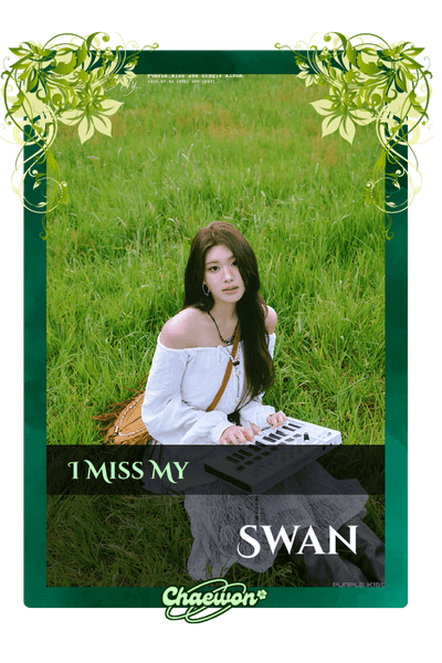 Swan