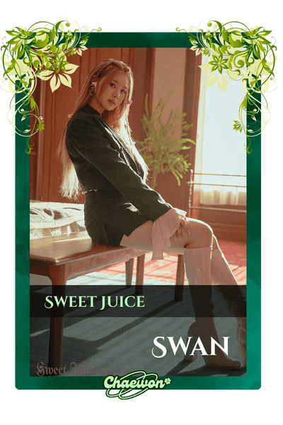 Swan