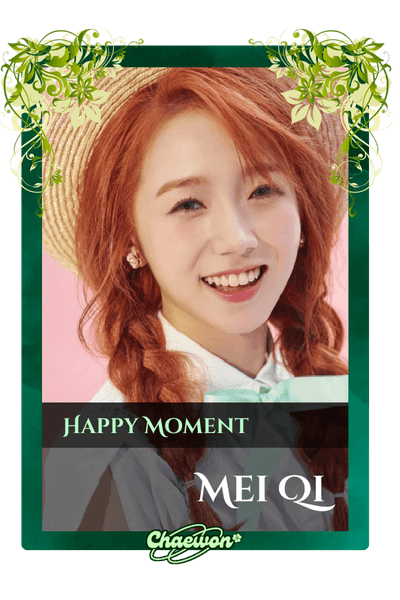 Mei Qi