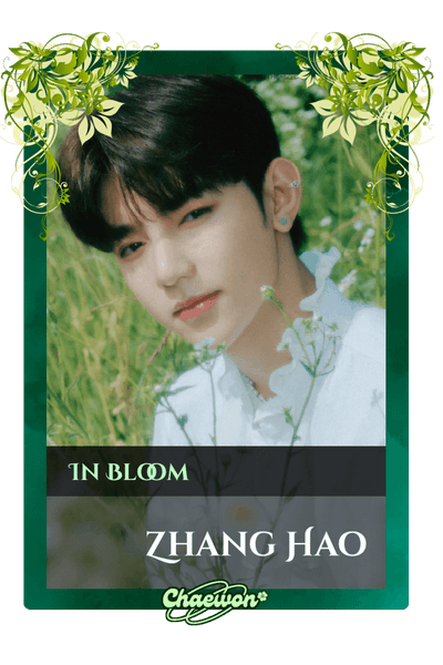 Zhang Hao