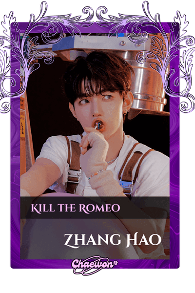 Zhang Hao