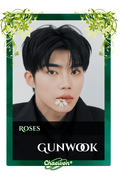 Gunwook