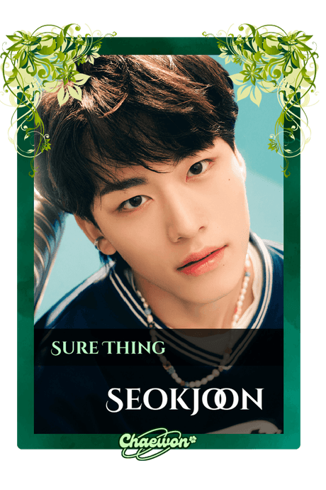 Seokjoon