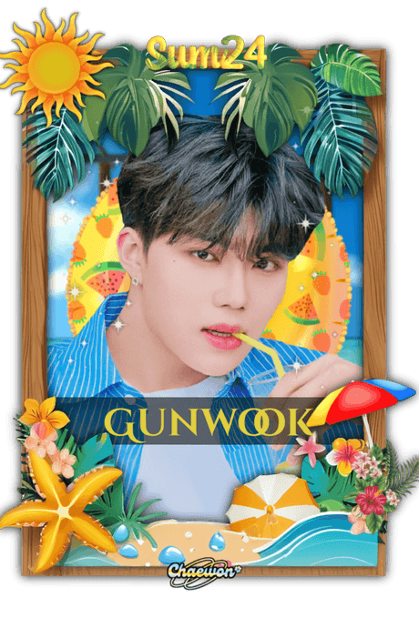 Gunwook