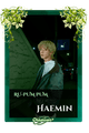 Haemin