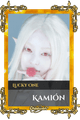 Kamión