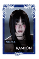 Kamión