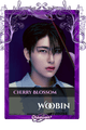 Woobin