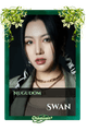 Swan