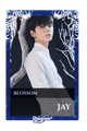 Jay