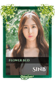 SinB