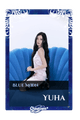 Yuha