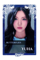 Yuha