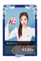Yuha