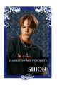 Shion