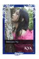 Kya