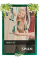 Swan