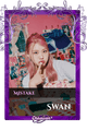 Swan
