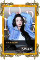 Swan