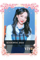 Vivi