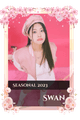 Swan
