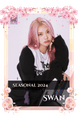Swan