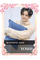 Yoshi