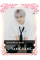 Yangyang